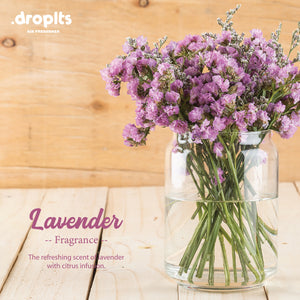 DROPLTS ORIGINAL Lavender Air Freshener – Pack of 5